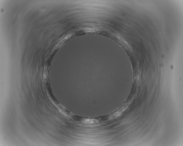 X0000087530277200705112039