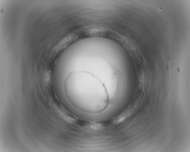 X0000087530278200705112039