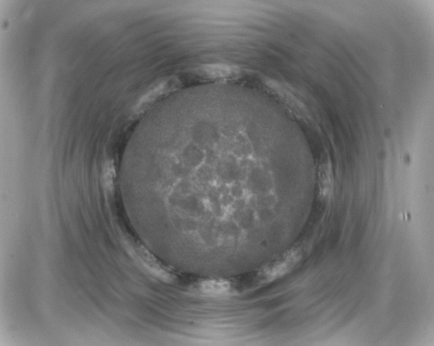 X0000087530279200705112039