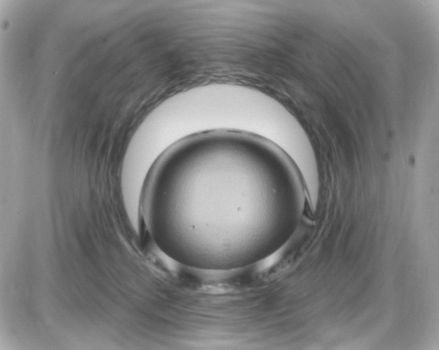 X0000087530280200705112039