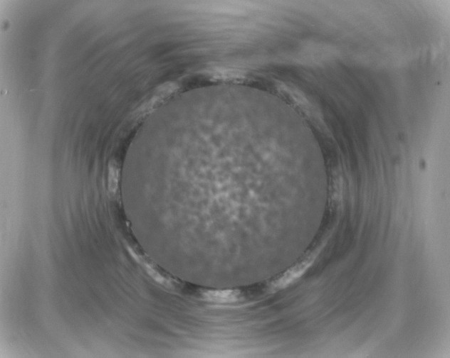 X0000087530281200705112039