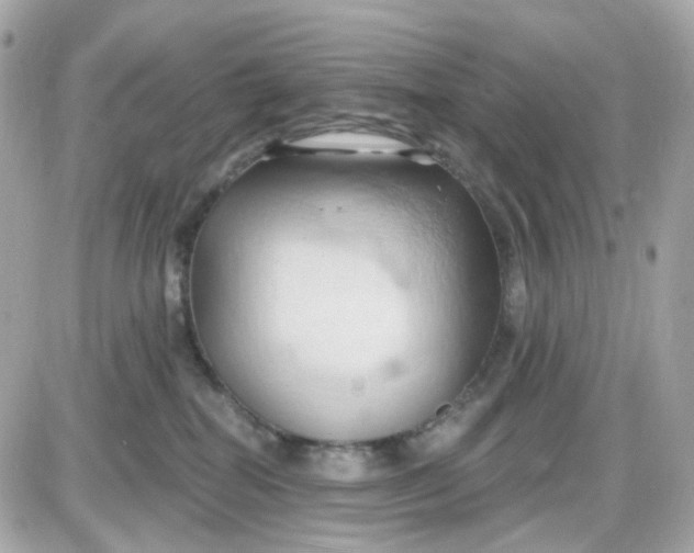 X0000087530282200705112039