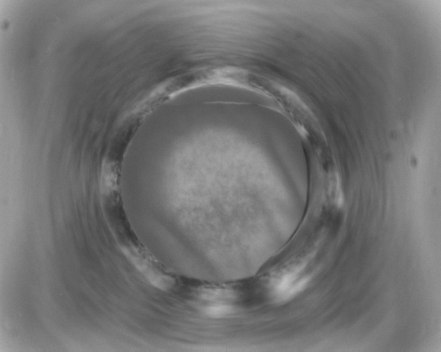 X0000087530284200705112039