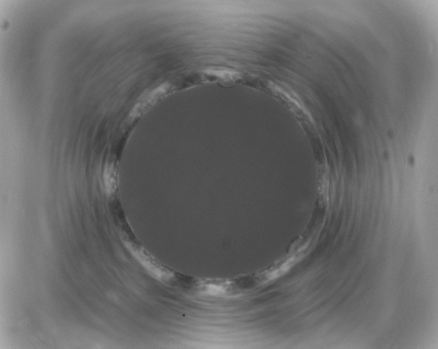 X0000087530285200705112039