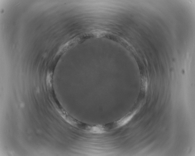 X0000087530286200705112039