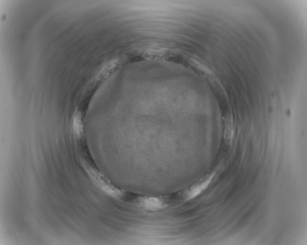 X0000087530287200705112039