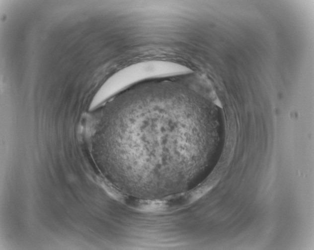 X0000087530288200705112039