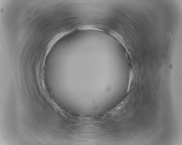 X0000087530289200705112038