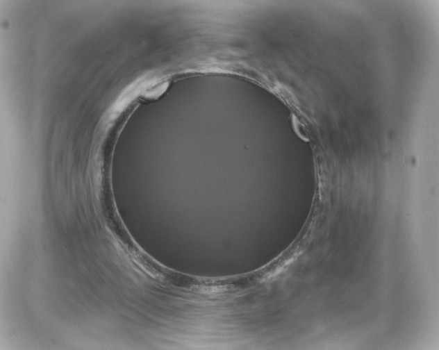 X0000087530295200705112038