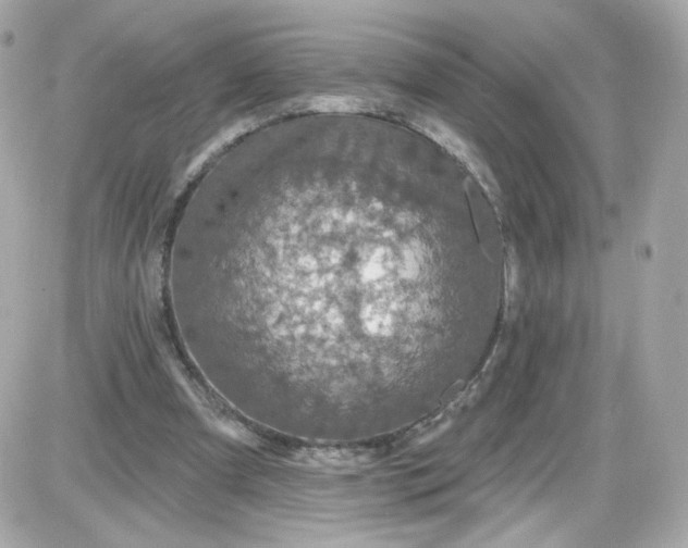 X0000087530297200705112038