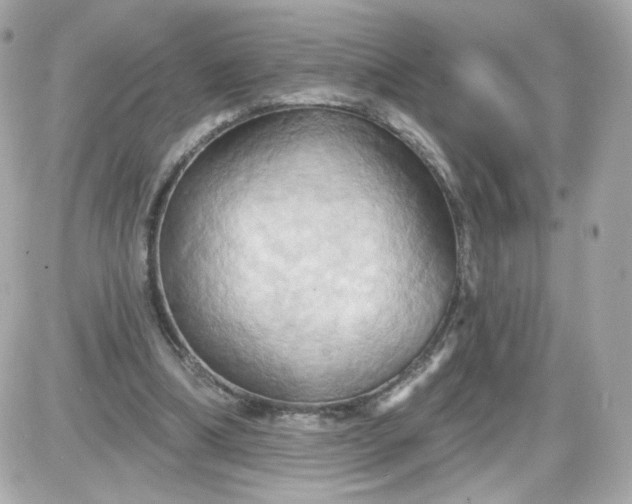 X0000087530298200705112038