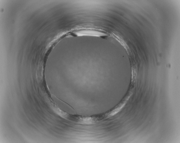 X0000087530301200705112038