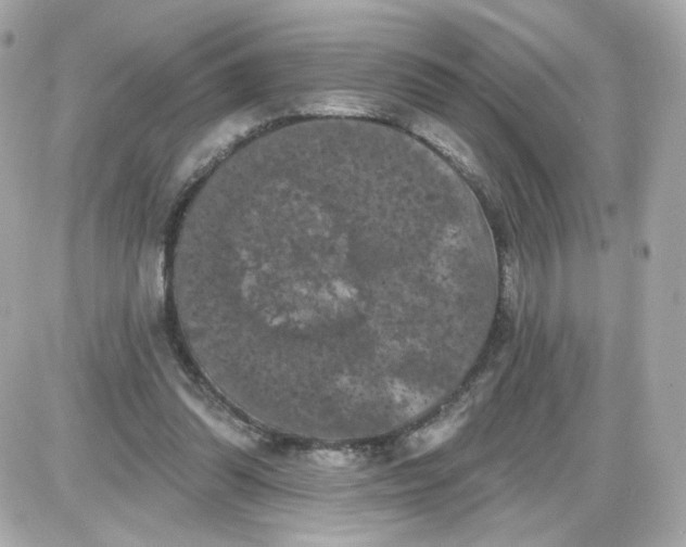 X0000087530302200705112038