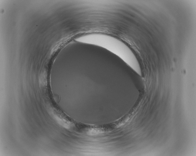 X0000087530303200705112038