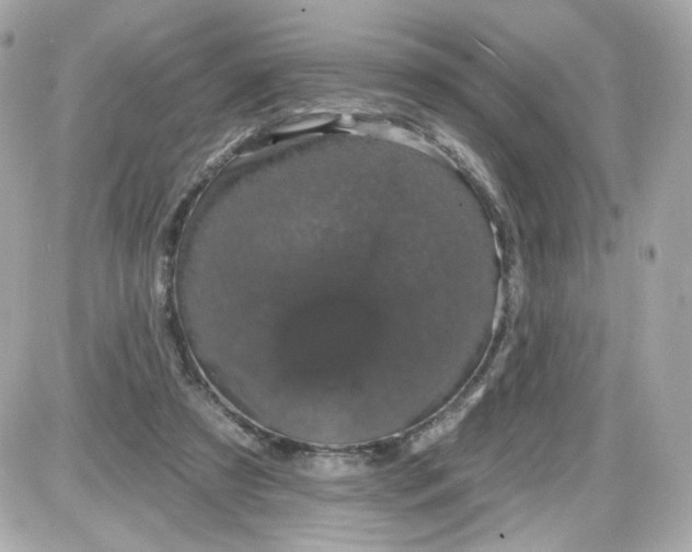 X0000087530305200705112038