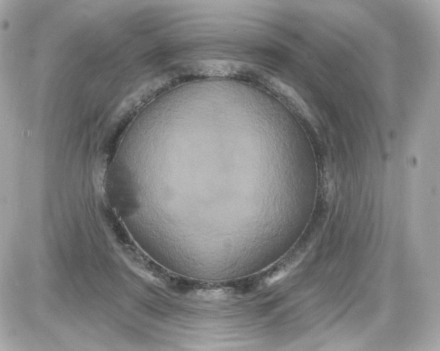 X0000087530307200705112038