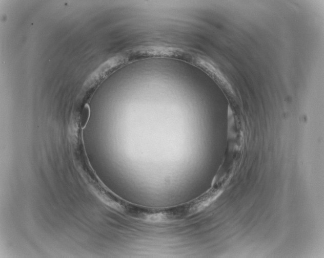 X0000087530309200705112038