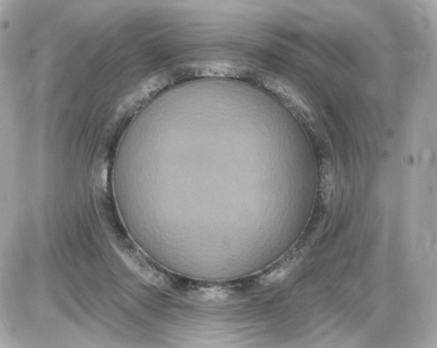 X0000087530310200705112038