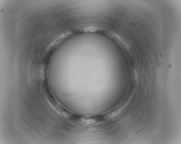 X0000087530311200705112038