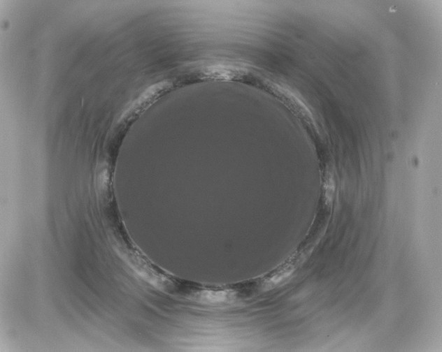 X0000087530314200705112038