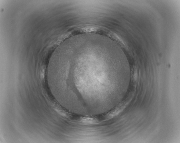 X0000087530315200705112038