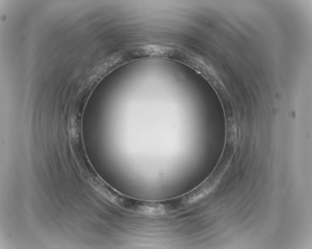 X0000087530317200705112038