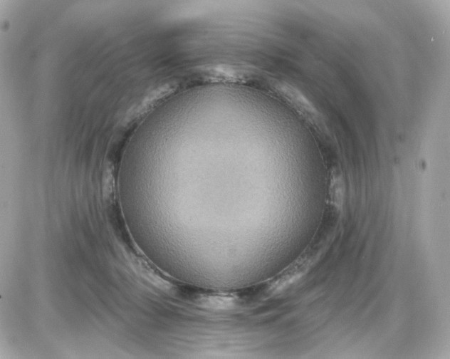 X0000087530318200705112038