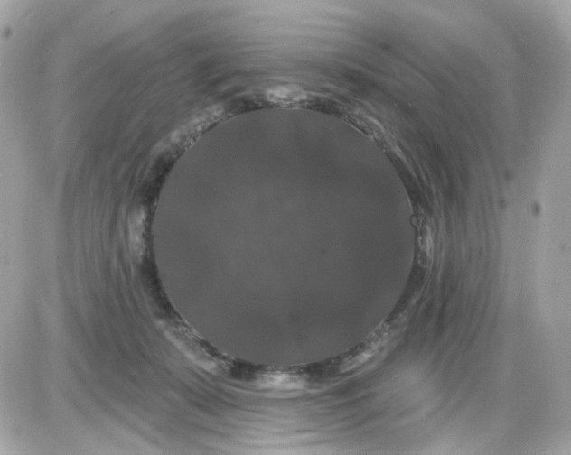 X0000087530319200705112038