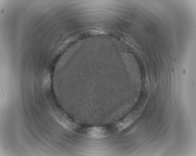 X0000087530320200705112038