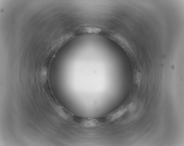 X0000087530321200705112038