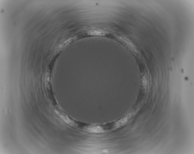 X0000087530322200705112038