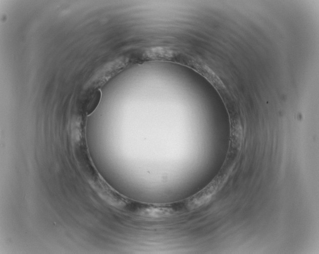 X0000087530323200705112038