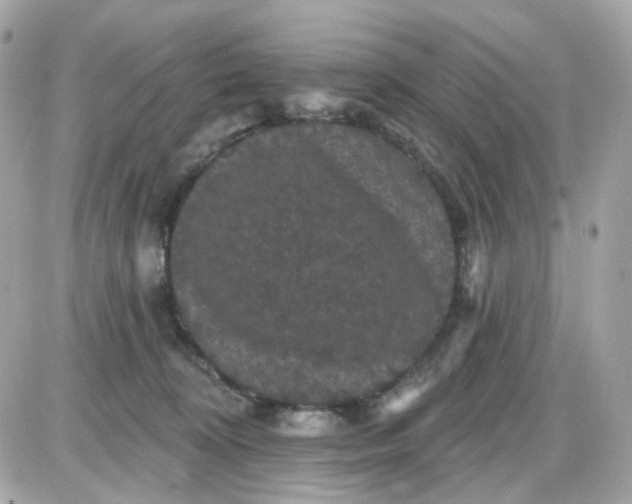 X0000087530324200705112038