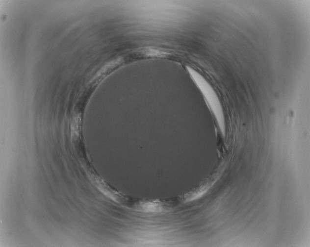 X0000087530325200705112038