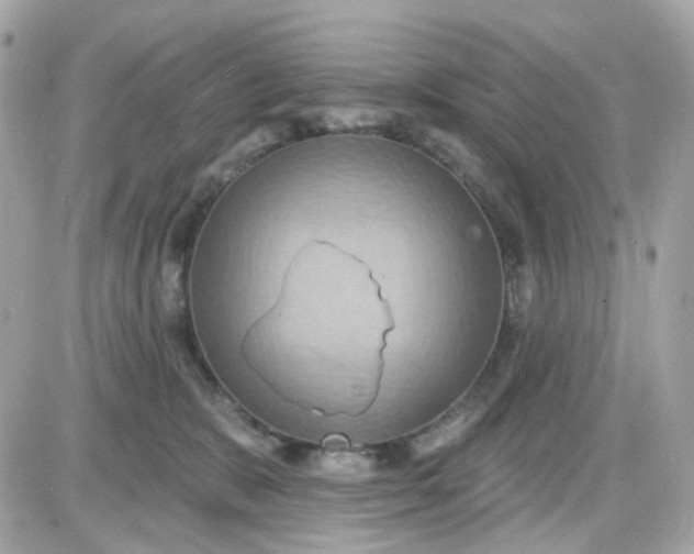 X0000087530327200705112038