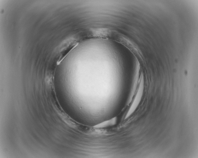 X0000087530329200705112038