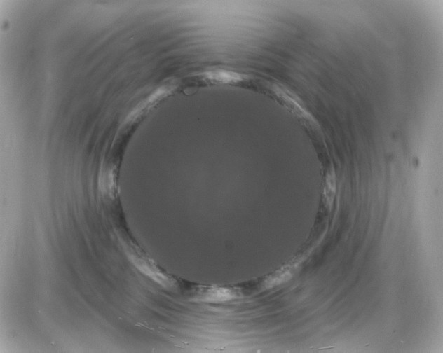 X0000087530330200705112038