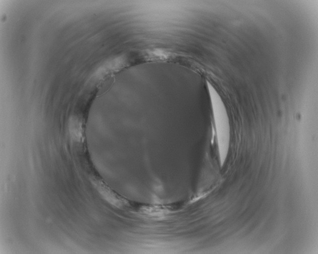 X0000087530331200705112037