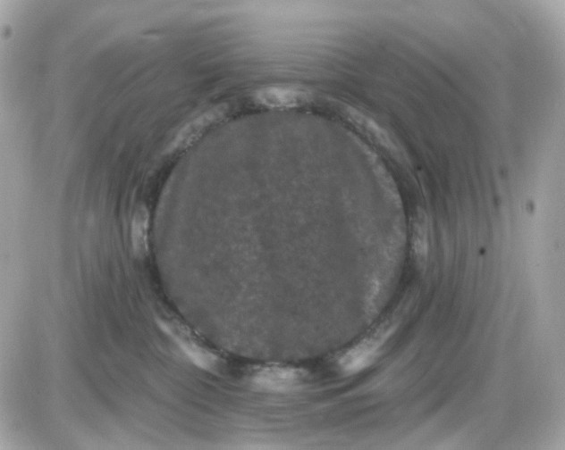 X0000087530332200705112037