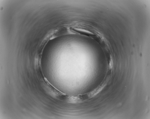 X0000087530333200705112037