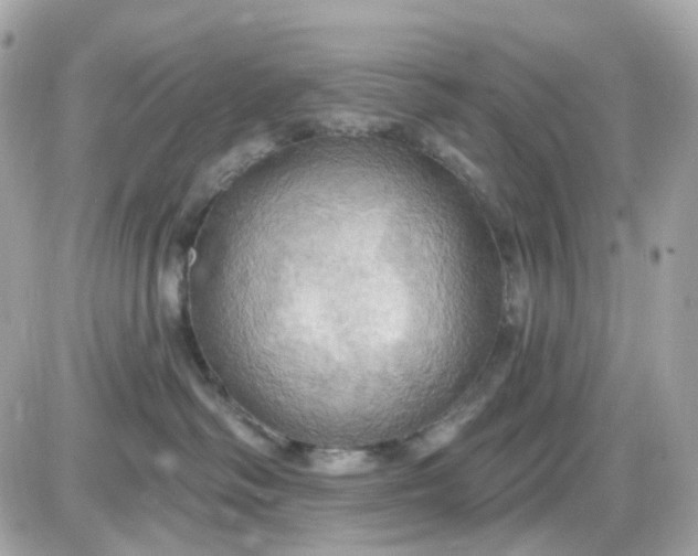 X0000087530334200705112037