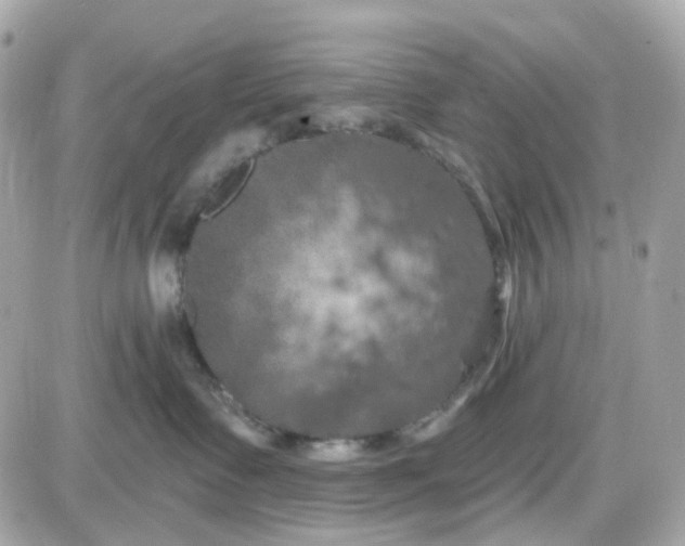 X0000087530335200705112037