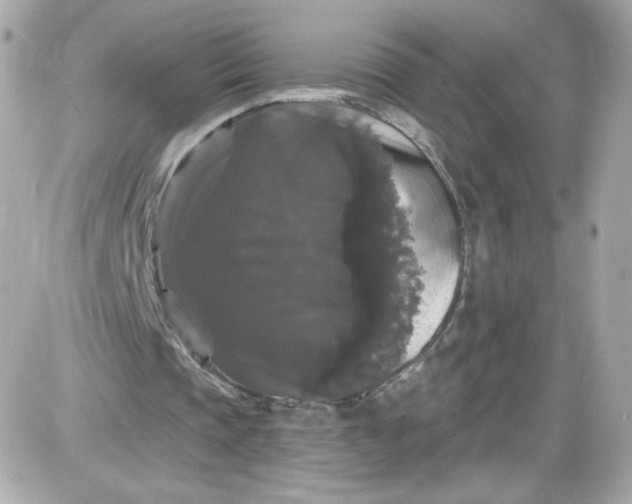 X0000087530337200705112037