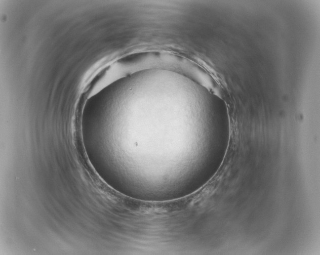 X0000087530340200705112037