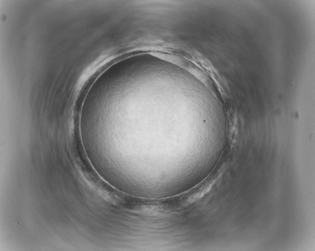 X0000087530344200705112037