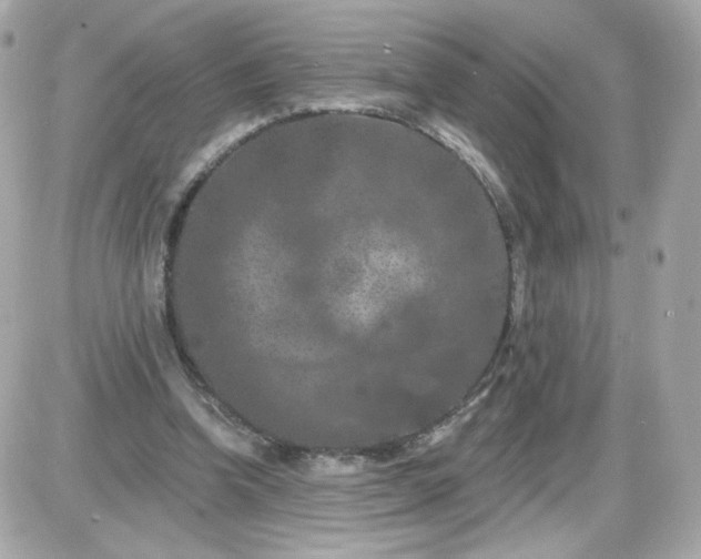 X0000087530346200705112037