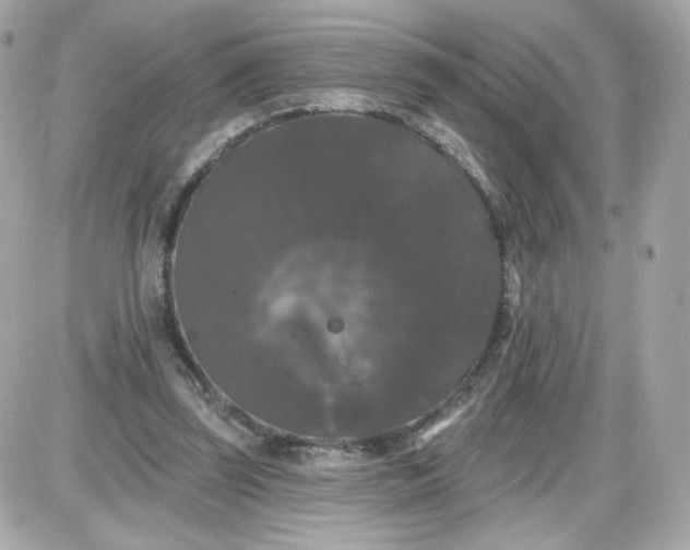 X0000087530347200705112037