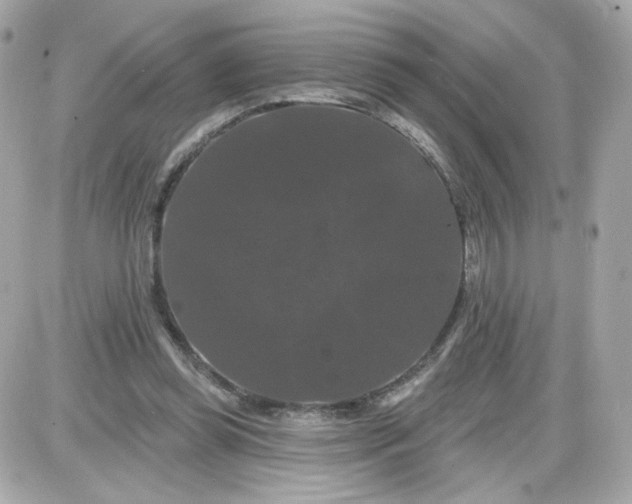 X0000087530349200705112037