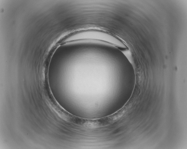 X0000087530350200705112037