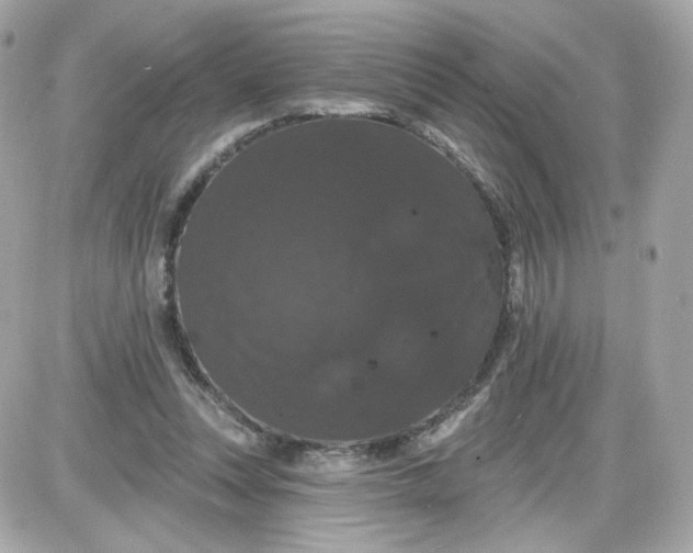 X0000087530351200705112037